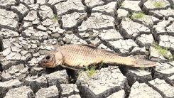 Neskaidrības ar Slampes dīķi