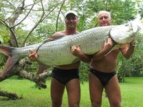 Makšķerēšana Karību jūras ūdeņos