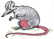 Ko sola Žurkas gads?