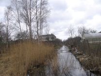 Tīrīs Vecslocenes gultni