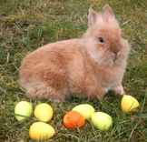 Lieldienas Pastariņa muzejā «Bisniekos»