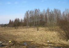 Vai 40 bērzi Tukumā nav zaļā teritorija?