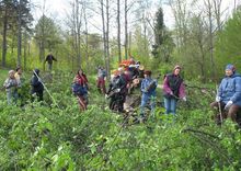 Sakopj Durbes estrādi