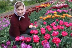 Dzidras Sticeres mīļdobe