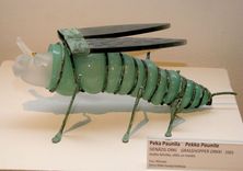 Fotoobjektīvā –  Somijas mazpilsēta un šedevri stiklā