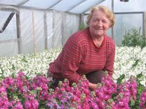 Uzticīga dārzkopībai