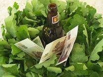 Cik izmaksās braukšana reibumā