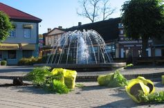 Izpostīti pilsētas apstādījumi /FOTOREPORTĀŽA/