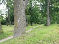 Pilsētas parkā darbi tomēr gaidāmi