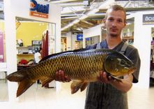 Karpām garšo arī kukurūza