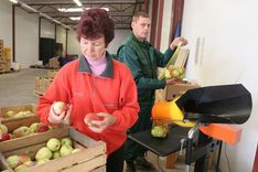 Jāskaitļo, lai vairāk nopelnītu