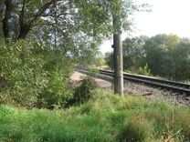 Krūmi traucē redzēt vilcienu