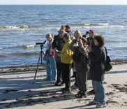 Laiks vērot gājputnus