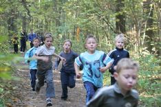 Rudens kross Putniņu mežā