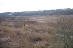 Ezera atjaunošana – atkal domes darba kārtībā