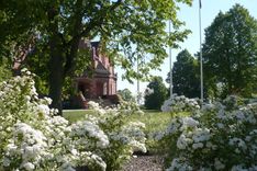 18. maijā satiec «Zaļo Ziedoni» Jaunmokās