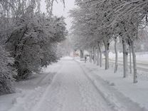 Par sniega radītajām neētrībām tukumnieku ikdienā