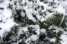 Kapu žogam līdzekļu nepietiek