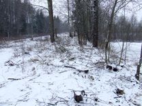 Malkas nav, un zāģis pagalam…