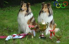 «Kollimpiāde 2009» Uguņciemā