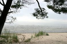 Sargās zemūdens pļavas un putnus