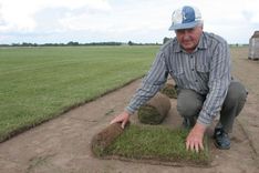 Smārdes «Kurciņos» velēnas rituļos veļ