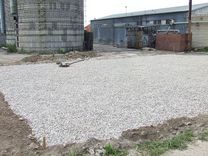 Zivju buljonu vedīs uz Rīgu