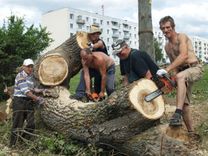 Papeles – Jauntukuma mantojums