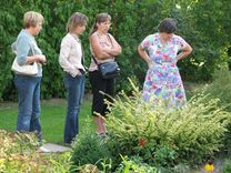 Jaunpils novadā vērtē sakoptākās vietas