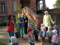 Miera dienā stāda kokus