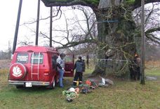 Noskaidro, vai zem Senču ozola nav zelta mucas...