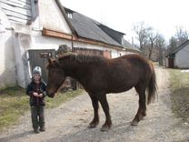 Valsts piedāvā pārņemt Rindzeli