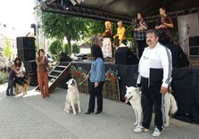 Cik suņu, tik stāstu...