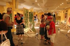 Floristu darbi Tukuma kultūras namā būs apskatāmi arī pirmdien