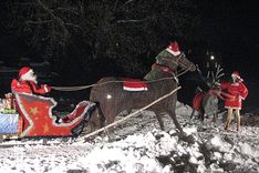 Kandavā vandāļi "izvaro" Sarkangalvīti