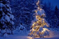 Kā sagaidīt Ziemassvētkus