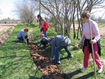 Ģ. V. Kristovskis piedalās Meierovica pieminekļa sakopšanas talkā
