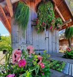 Aicina rotāt Ragaciema sedumu un atzīmēt Pļavu dienu