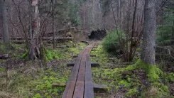 Aicina uz laiku atturēties no došanās dabas takās!