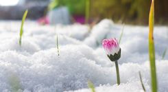 Lai mums visiem izdodas nenogulēt pavasara atmodu