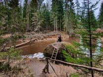 Piešķirs finansējumu Viesatu dabas takai