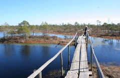 Lielās Ķemeru tīreļa laipas atklāšana plānota vasaras otrajā pusē