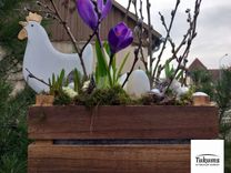 Pūpolsvētdienas nedēļas nogales pasākumi Tukuma pusē