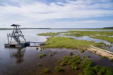 Kas par tīkliem Engures ezerā?