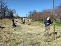Nacionālā nemateriālā kultūras mantojuma sarakstā iekļaus arī tīklu darināšanu Jūrmalas un Tukuma novada piekrastē