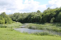 Vai tīši nepiesārņo Abavu?