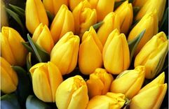 Tukumā būs sievietēm veltīta nedēļas nogale