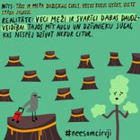 Aicina uz “kluso protestu“, lai aizsargātu vecos mežus