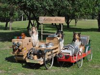 Iespēja atbalstīt jaunākās kolliju filmas tapšanu!