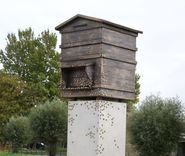 Lestenē plāno uzstādīt pieminekli «Latvijas stāvstrops brīvībai»